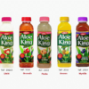 Boissons OKF Aloe vera King